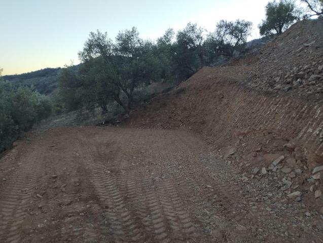 PARCELA RUSTICA 1101 MT CON SUPERFICIE PLANA CAMINO ASFALTADO photo 0