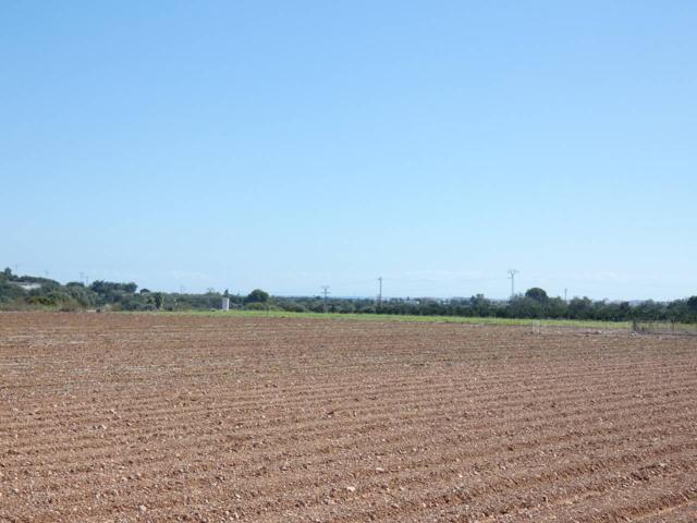 FINCA A 5 KM DE BENICARLO Y DE VINAROZ photo 0