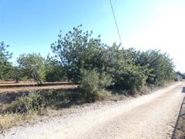 FINCA RUSTICA CON AGUA. A 5 KM DEL MAR photo 0