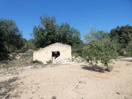 FINCA RUSTICA A 2 KM DE CALIG. photo 0