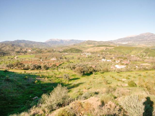 Otro En venta en Coín photo 0