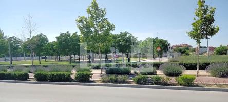 VENTA DE PARCELAS URBANAS DE 150m2 EN ALOVERA photo 0