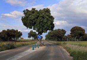 VENTA DE PARCELA DE 1202M2 EN URBANIZACIÓN EL ENCINAR DEL HENARES photo 0