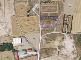 Terrenos Edificables En venta en Peñafiel photo 0