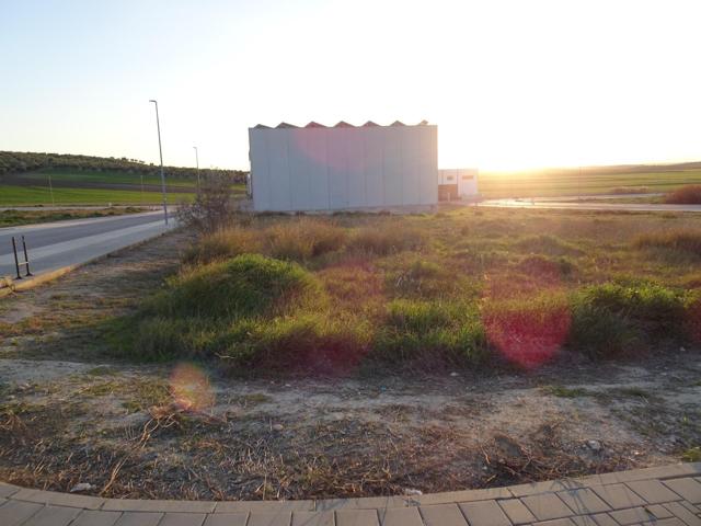 Terreno Urbanizable En venta en P.i. Pemar, Marchena photo 0