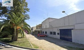 Venta piso en Mérida (Badajoz) photo 0