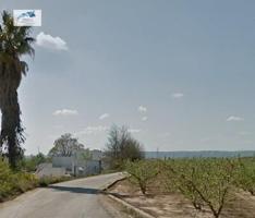 Venta Terreno Rural en Guadassuar - Valencia photo 0