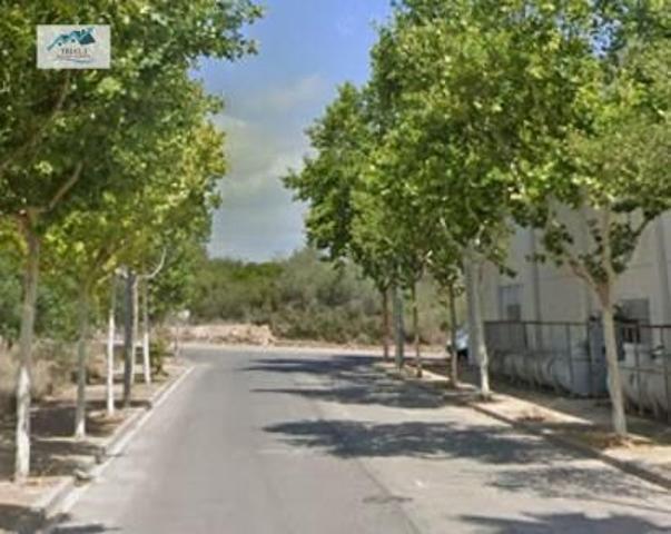 Venta Local en Amposta - Tarragona photo 0