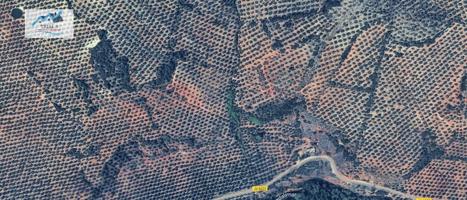 Venta Terreno Urbano en Sorihuela del Guadalimar - Jaén photo 0