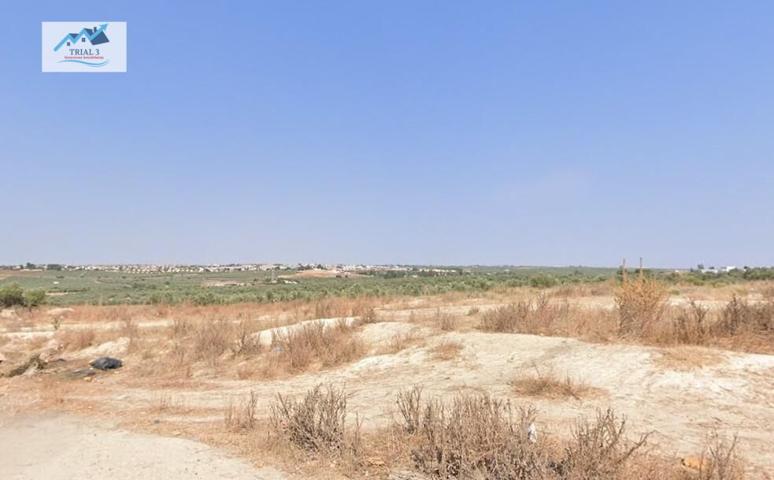 Venta Lote de 6 Terrenos Urbanos en Espartinas - Sevilla photo 0