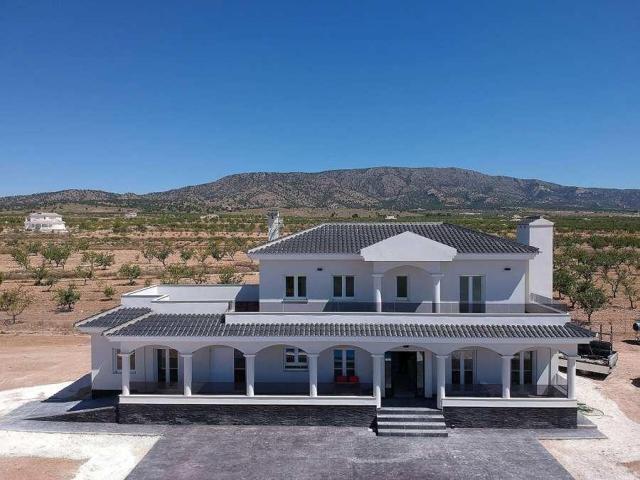Villa En venta en El Pinós-Pinoso photo 0