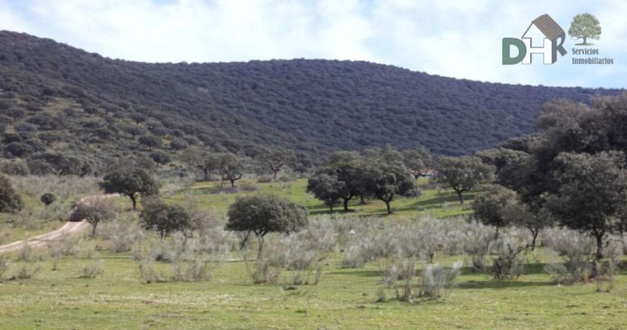 Terreno Urbanizable En venta en Caceres, Cáceres photo 0