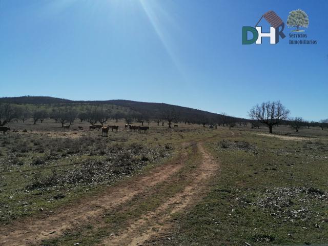 Terreno Urbanizable En venta en Caceres, Cáceres photo 0