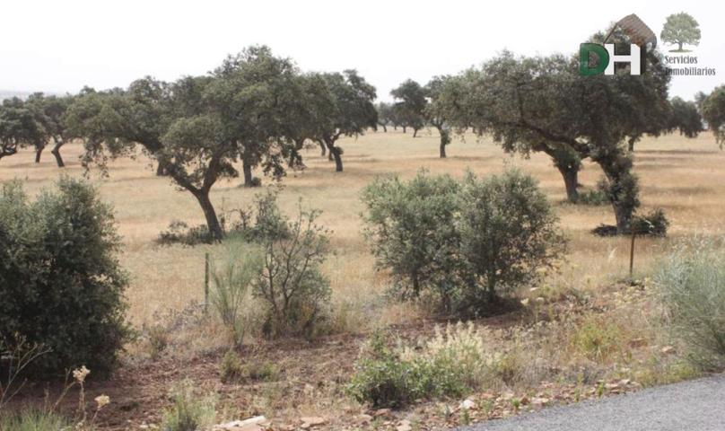 Terreno Urbanizable En venta en Badajoz, Badajoz photo 0