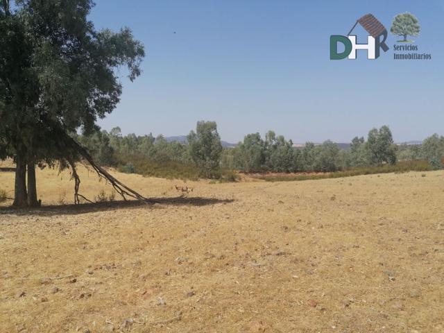 Terreno Urbanizable En venta en Badajoz, Badajoz photo 0