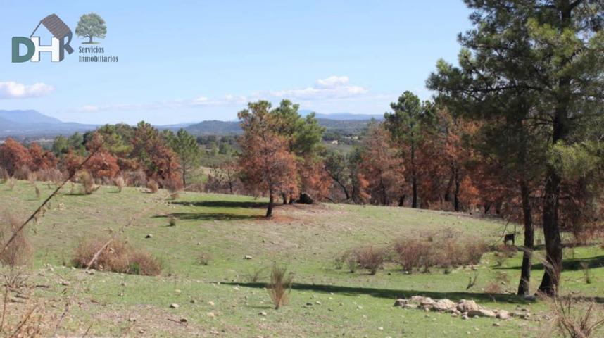 Terreno Urbanizable En venta en Caceres, Cáceres photo 0
