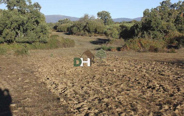 Terreno Urbanizable En venta en Caceres, Cáceres photo 0
