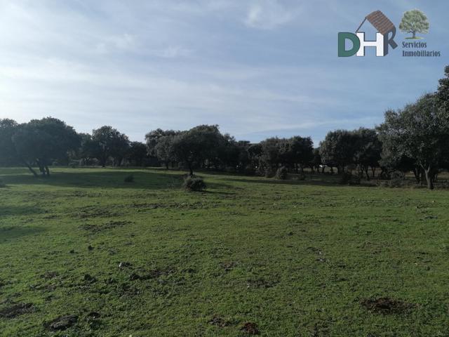 Terreno Urbanizable En venta en Caceres, Cáceres photo 0