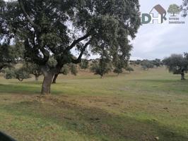 Terreno Urbanizable En venta en Cáceres Provincia, Cáceres photo 0