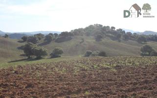 Terreno Urbanizable En venta en Sevilla, Sevilla photo 0