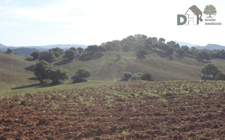 Terreno Urbanizable En venta en Sevilla, Sevilla photo 0