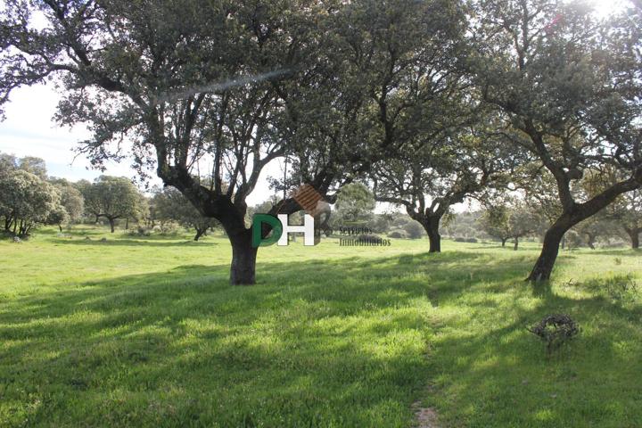 Terreno Urbanizable En venta en Cáceres, Cáceres photo 0
