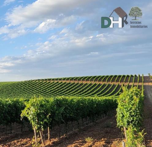 Terreno Urbanizable En venta en Valladolid, Valladolid photo 0