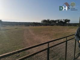 Terreno Urbanizable En venta en Caceres, Cáceres photo 0