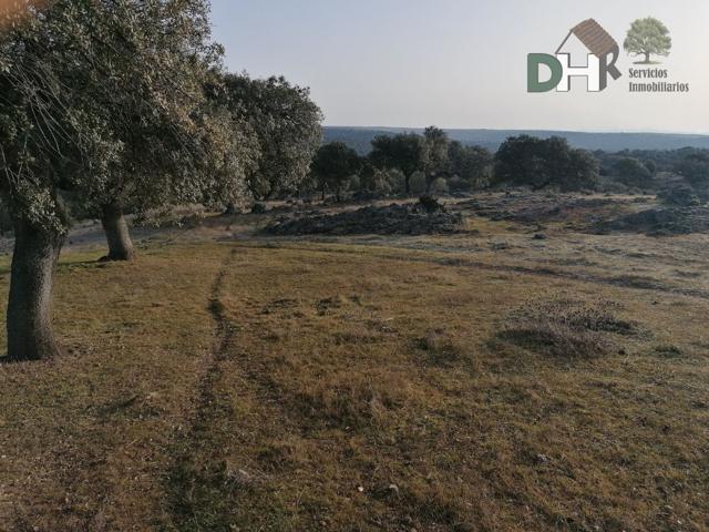 Terreno Urbanizable En venta en Caceres, Cáceres photo 0