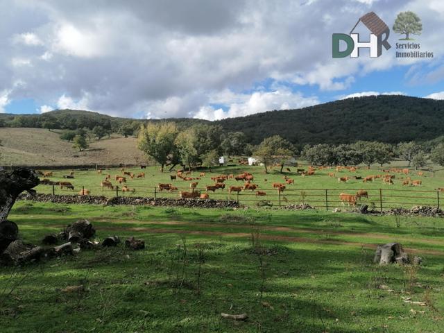 Terreno Urbanizable En venta en Caceres, Cáceres photo 0