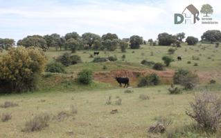 Terreno Urbanizable En venta en Salamanca, Salamanca photo 0