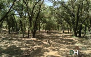 Terreno Urbanizable En venta en Ciudad Real, Ciudad Real photo 0