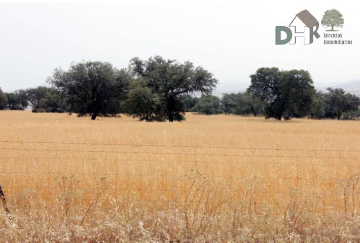 Terreno Urbanizable En venta en Badajoz, Badajoz photo 0