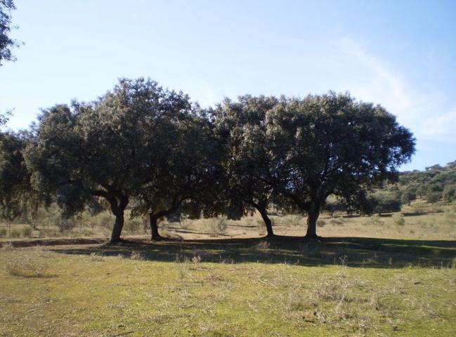 Terreno Urbanizable En venta en Badajoz, Badajoz photo 0