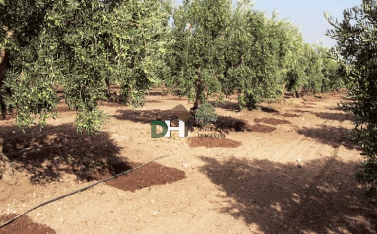 Terreno Urbanizable En venta en Badajoz, Badajoz photo 0