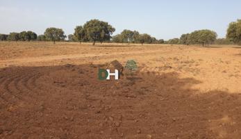 Terreno Urbanizable En venta en Cáceres, Cáceres photo 0