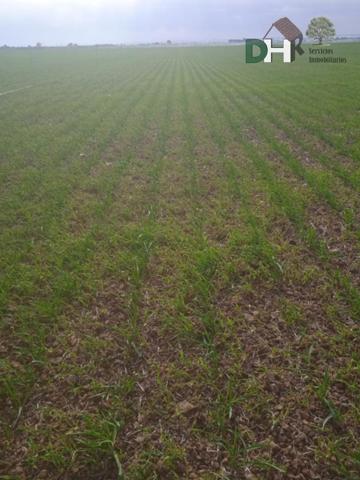Terreno Urbanizable En venta en Provincia, Toledo photo 0