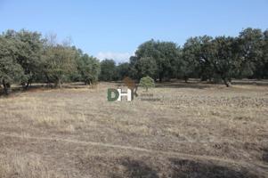 Terreno Urbanizable En venta en Cáceres, Cáceres photo 0