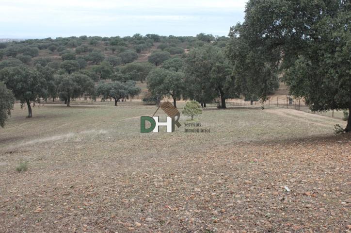 Terreno Urbanizable En venta en Badajoz, Badajoz photo 0