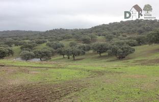 Terreno Urbanizable En venta en Cáceres, Cáceres photo 0