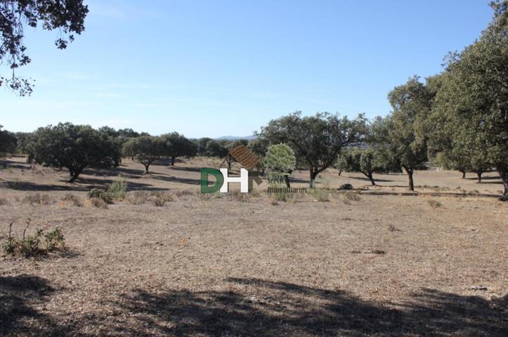 Terreno Urbanizable En venta en Cáceres, Cáceres photo 0