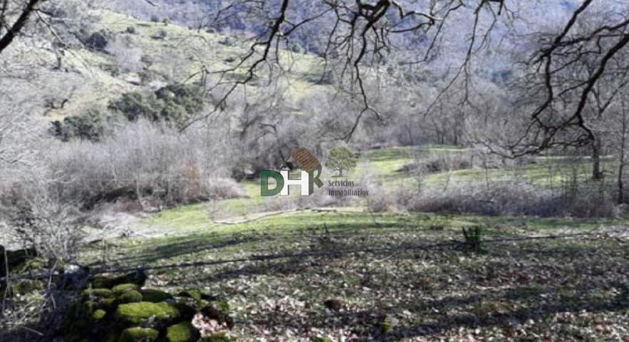 Terreno Urbanizable En venta en Caceres, Cáceres photo 0