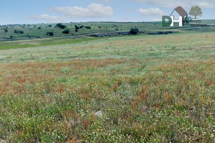 Terreno Urbanizable En venta en Provincia, Salamanca photo 0
