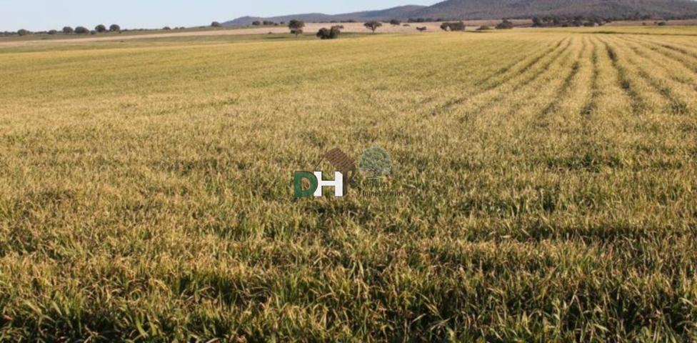 Terreno Urbanizable En venta en Provincia, Toledo photo 0