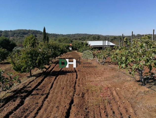 Terreno Urbanizable En venta en Caceres, Cáceres photo 0