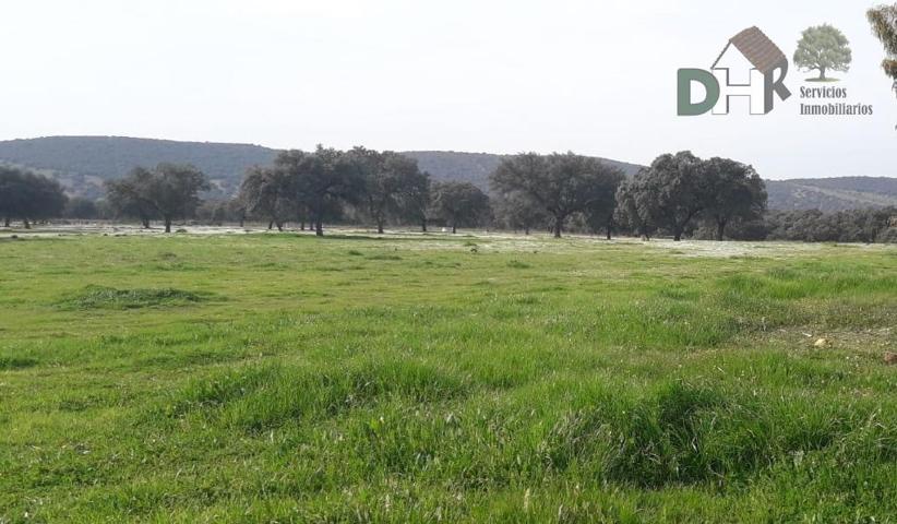 Terreno Urbanizable En venta en Ciudad Real, Ciudad Real photo 0