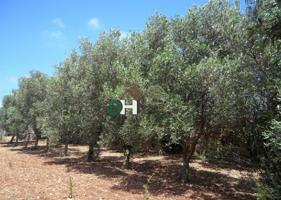 Terreno Urbanizable En venta en Provincia, Toledo photo 0