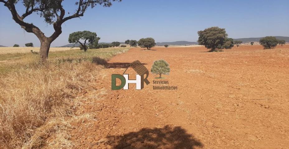 Terreno Urbanizable En venta en Provincia, Toledo photo 0