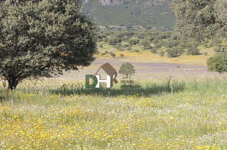 Terreno Urbanizable En venta en Cáceres, Cáceres photo 0
