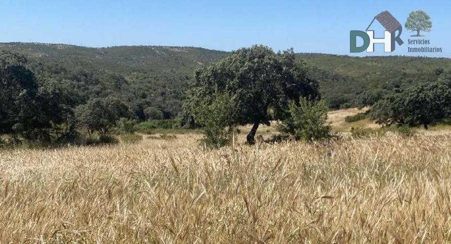 Terreno Urbanizable En venta en Provincia, Huelva photo 0